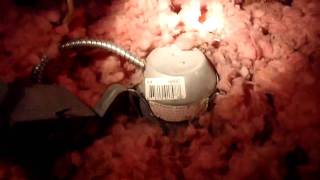 Home Inspector Seattle Shows Fire Safety and Mold in the Attic | (425) 207-3688 | CALL US!