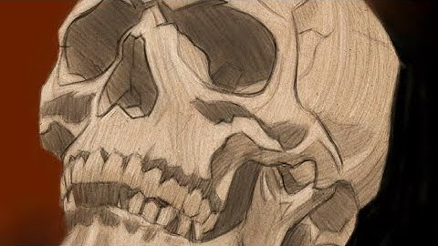 How to draw basic human skull in procreate