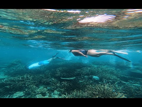 Exploring Pacific Harbour | The Adventure Capital of Fiji