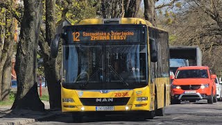 MAN NL293-10,5 Lion's City M #2036 MZK Koszalin 