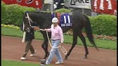 20世紀の名馬 22位 トウショウボーイ Youtube