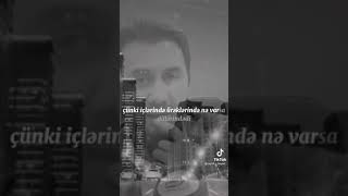 Aqşin Fateh . Dəli Olanları Sevin