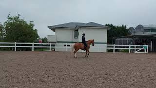 War 🐎 E BERNARD BARRACHINA 2*