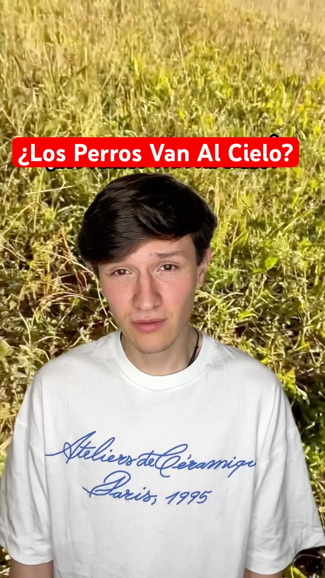 ¿Los Perros Van al Cielo? ??️? | Fabru Blacutt