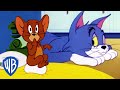 Tom und jerry auf deutsch  klassischer cartoon 115  wb kids