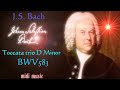 J.S. Bach - Toccata trio D Minor BWV583(organ midi music)