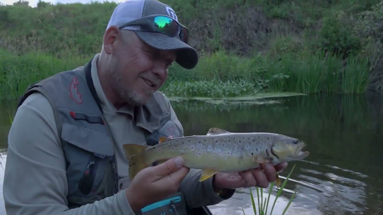 Mažųjų upių žuvys. TV