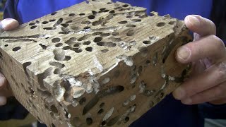 More Holes Than Wood! - Wood Turning