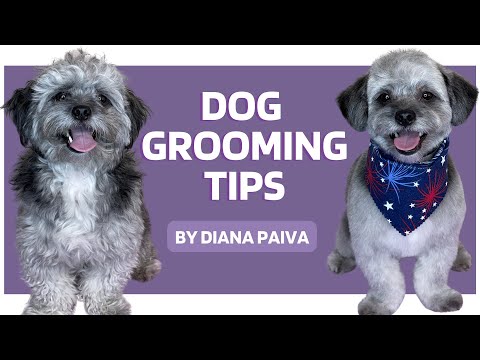 DOG GROOMING TIPS