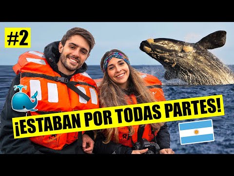 FUIMOS A PUERTO MADRYN Y VIMOS LAS BALLENAS!!! 🐳 *2021* | ROAD TRIP por ARGENTINA Ep. 2 🚗