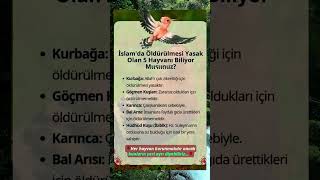 Öldürülmesi̇ Yasak 5 Hayvani Bi̇li̇yor Musunuz