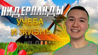 Обучение в Нидерландах | Переезд в Нидерланды  | Бесплатное образование