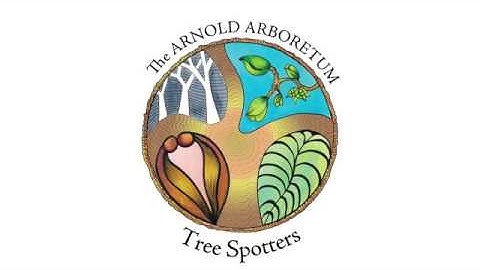 Video Tutorial: Downloading and using the Nature