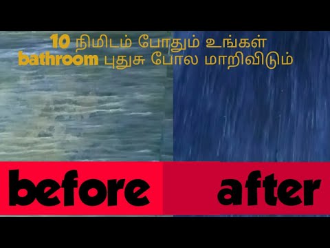 How To Clean Bathroom Tiles In Tamil Youtube?