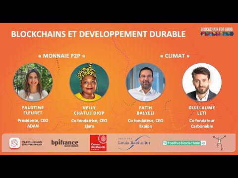 Table ronde "Blockchains et développement durable", organisée par Blockchain for Good