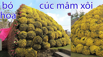 làng hoa sa đéc xuân tân sửu năm 2021 bó hoa cúc mâm xôi khổng lồ