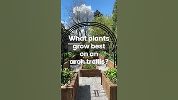 An arch trellis just makes everything better if you ask me 😍 #trellis #garden #plants #gardeningtips