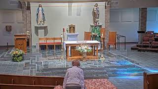 Daily Mass, Monday, June 8, 2026
