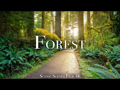 Our Green Planet 4k - Scenic Nature Views With Relaxing Music