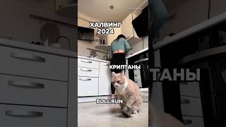 Все криптаны ждут этого😂