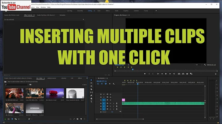 Adobe Premiere Pro - Inserting Multiple Clips from Project Panel to Timeline Panel At The Same Time