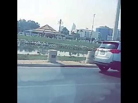 عبدالمجيد عبدالله يابن الحلال