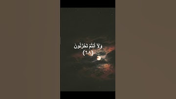 سورة الزخرف  اية 68-70 #المنشاوي #المصحف