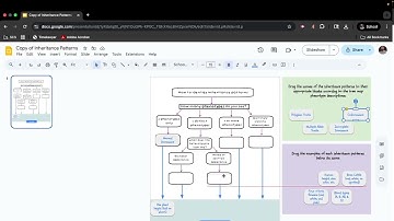 Patterns Of Inheritance