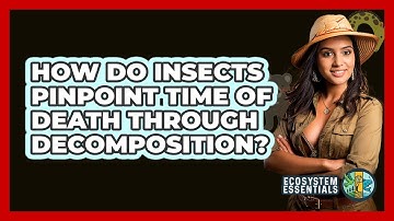 How Do Insects Pinpoint Time Of Death Through Decomposition? - Ecosystem Essentials