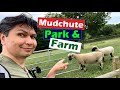  amazing  mudchute park and farm east london  london travel guide