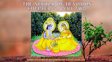 “THE NECTAR OF DEVOTION - CHAPTER 11 PART TWO…”PLUS - “ECSTATIC KIRTAN”