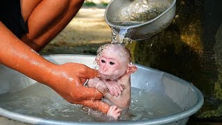 Dad help baby monkey Aroy Take a baths \/shower