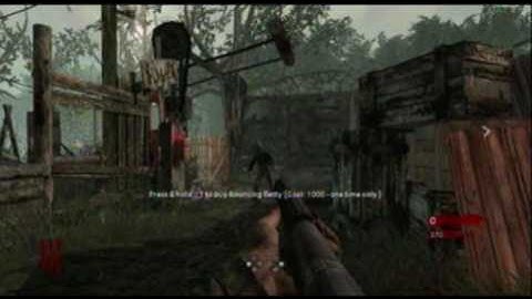 Cod5 (cod 5) shi no numa barrier glitch map pack 2