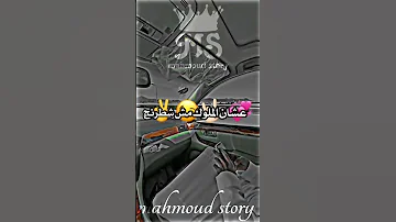 حالات واتس مهرجان عصفورة بتنقل الكلام ده مش رجولة 