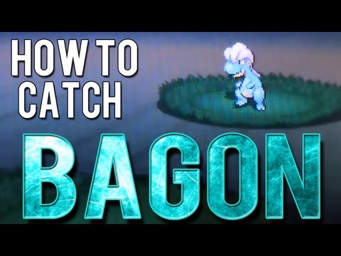 How to Catch Bagon - Pokemon Black 2 and White 2