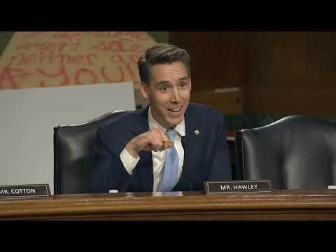 Far Left Berkeley Law Professor Melts Down When Sen. Hawley Asks Her If Men Can Get Pregnant