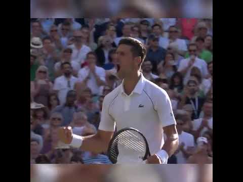 Novak Djokovic Defeats Cameron Norrie to Get to Wimbledon Final