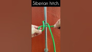 a common hitch knot, siberian hitch. #knots #shorts