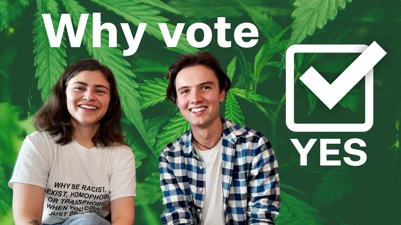 NZ Cannabis Referendum 2020: Why You Should Vote YES