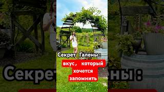 Галена, где вино становится искусством #жизньвсша #travelusa #чтопосмотреть #trip #интересныеместа