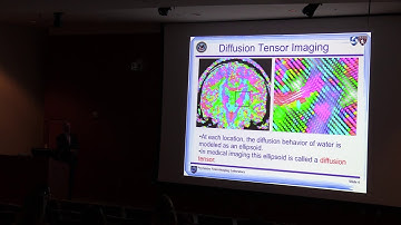 Marek Kubicki, MD, PhD: Brain Mapping Seminar, 3-5-2020