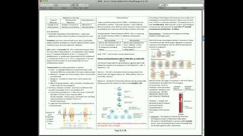 11-21-08 Meiosis and Recombination