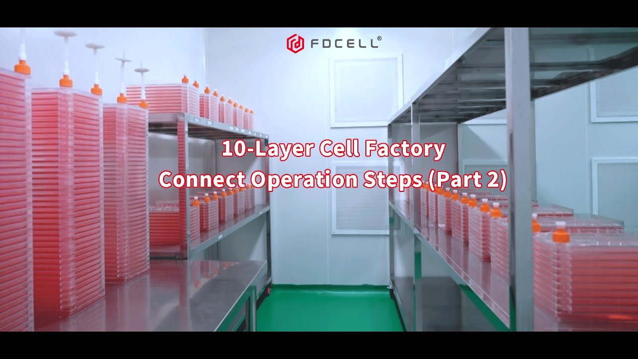 10-Layer Cell Factory Series Operation Guide (Part 2) | Filling ...