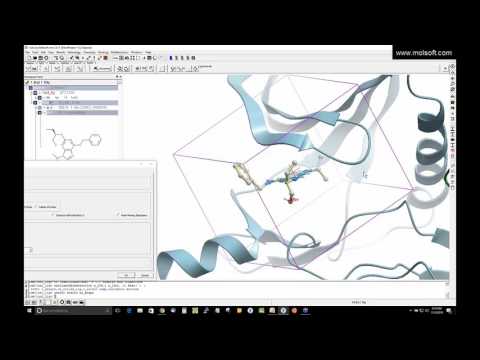 Webinar- Ligand Design using the ICM 3D Fully Interactive Ligand Editor