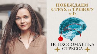 СТРАХ и ТРЕВОГА. АДРЕНАЛИН и КОРТИЗОЛ. Нейрохимия стресса. Психосоматика и здоровье.