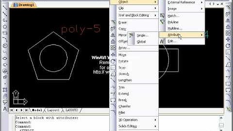 ZwCAD Tutorial attedit.avi