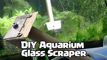 DIY Aquarium Glass Scraper