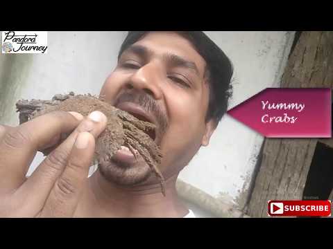 River Crab Making in Odisha Village