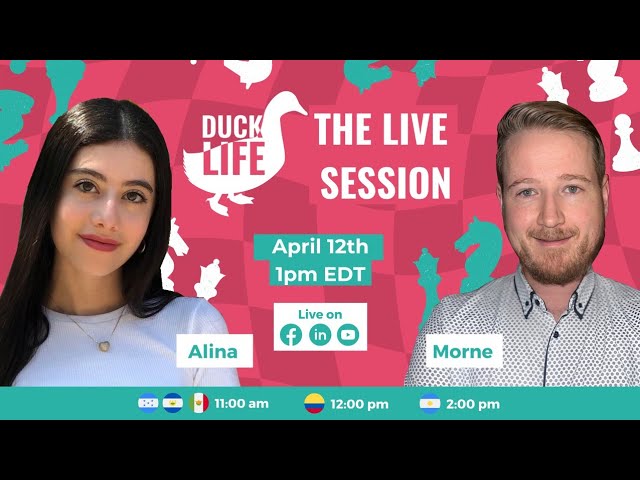 The Duck Life: Live Session