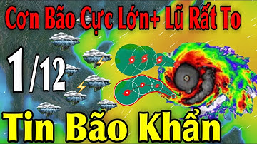 Cơn Bão Cực Lớn Lũ Rất To Tin Bão Khẩn | Dự báo thời tiết ngày 1/12 | thời tiết 15 ngày Tới